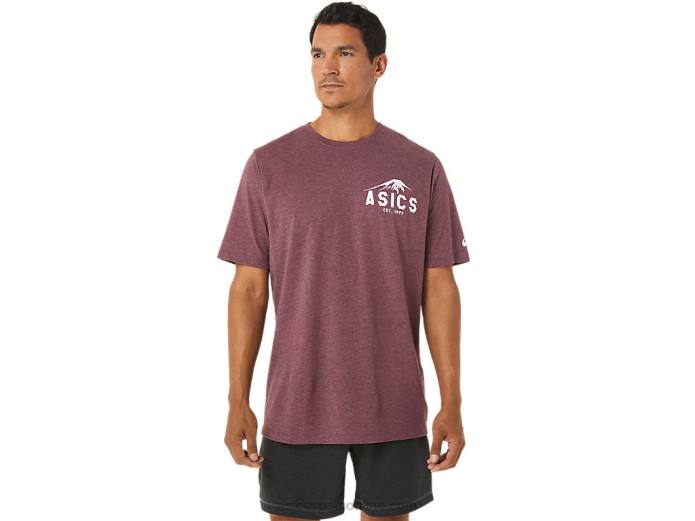 fuji 1977 camiseta Asics 4L681265 Brezo profundo de Marte